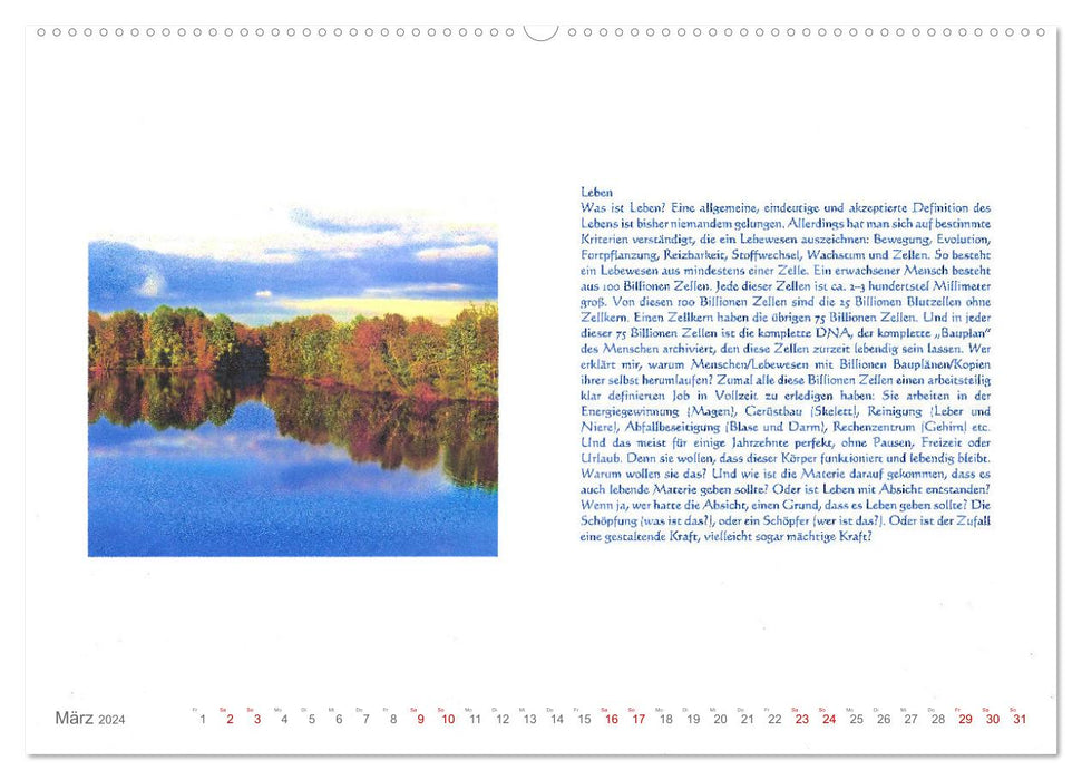 Wundervolle Wirklichkeit - Nachdenk-Kalender (CALVENDO Premium Wandkalender 2024)