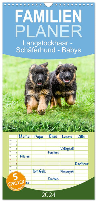 Langstockhaar - Schäferhund - Babys (CALVENDO Familienplaner 2024)