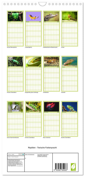 Reptilien - Tierische Farbenpracht (CALVENDO Familienplaner 2024)