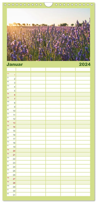 Lavendel - Die violette Wunderblume (CALVENDO Familienplaner 2024)