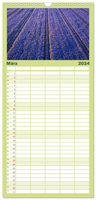 Lavendel - Die violette Wunderblume (CALVENDO Familienplaner 2024)