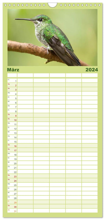 Zauberhafte Kolibris in Costa Rica (CALVENDO Familienplaner 2024)
