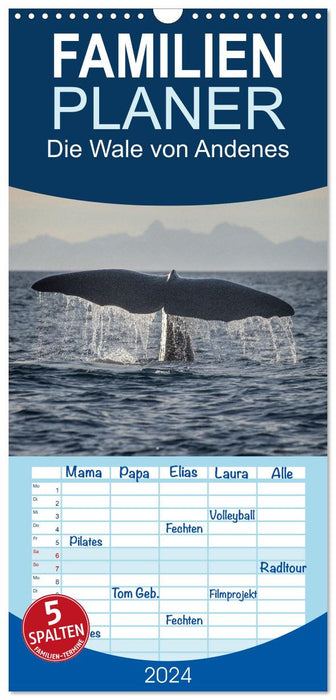 Die Wale von Andenes (CALVENDO Familienplaner 2024)