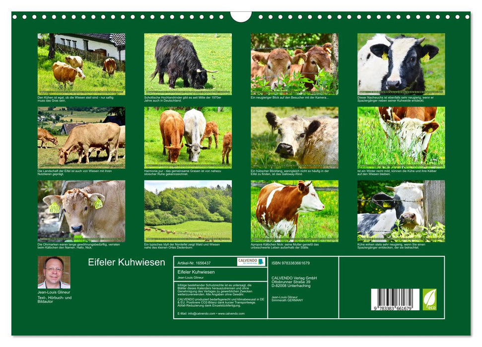 Eifeler Kuhwiesen (CALVENDO Wandkalender 2024)