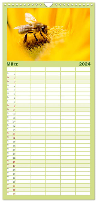 Die Welt der fleißigen Bienen (CALVENDO Familienplaner 2024)