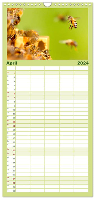 Die Welt der fleißigen Bienen (CALVENDO Familienplaner 2024)