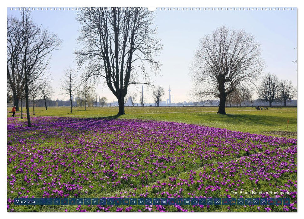 Paysages du parc de Düsseldorf (calendrier mural CALVENDO Premium 2024) 