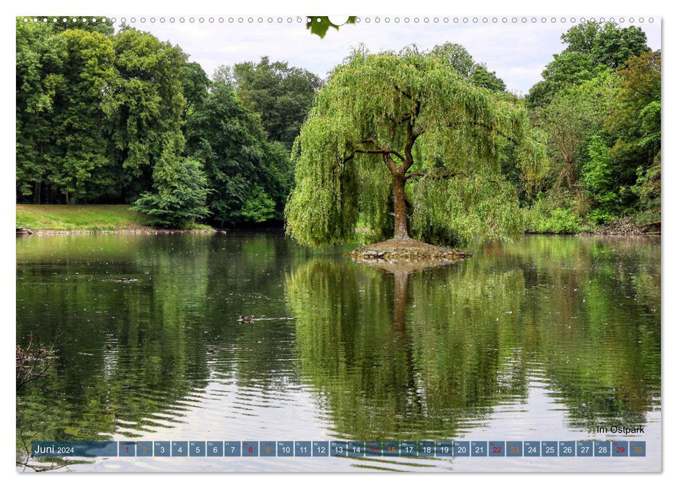 Paysages du parc de Düsseldorf (calendrier mural CALVENDO Premium 2024) 