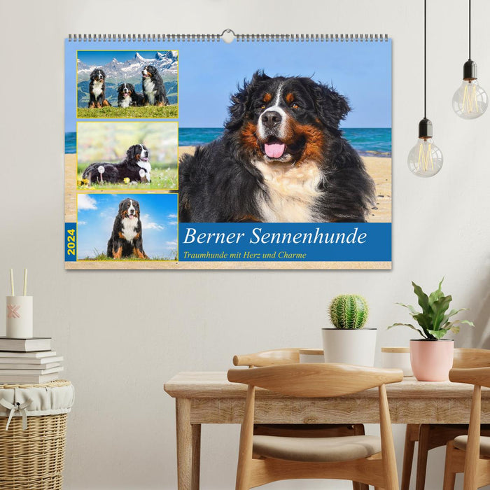 Bernese Mountain Dogs - dream dogs with charm (CALVENDO wall calendar 2024) 