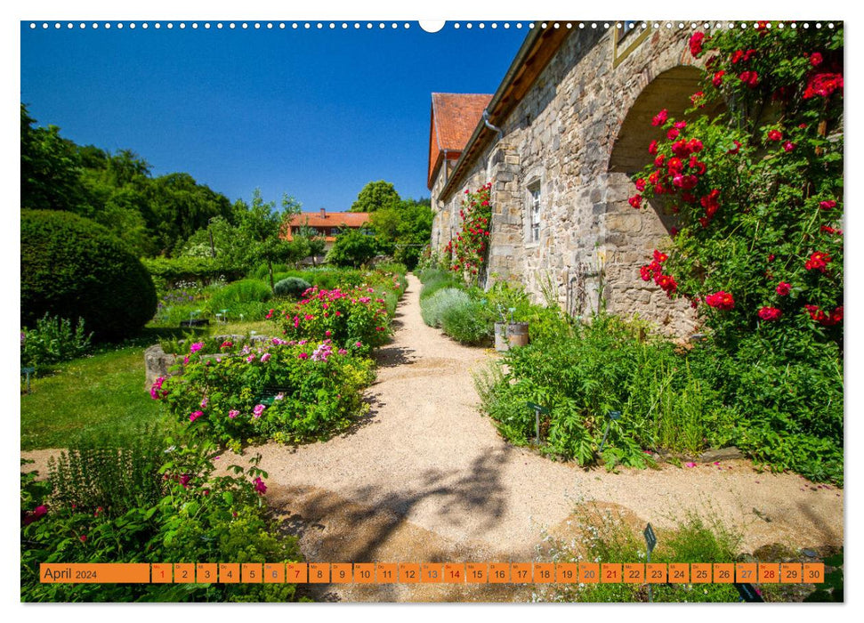 Experience the Michaelstein Monastery - Former Cistercians - Abbey in Blankenburg am Harz (CALVENDO wall calendar 2024) 