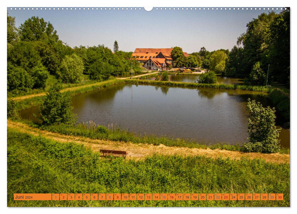 Das Kloster Michaelstein erleben – Ehemalige Zisterzienser – Abtei in Blankenburg am Harz (CALVENDO Wandkalender 2024)