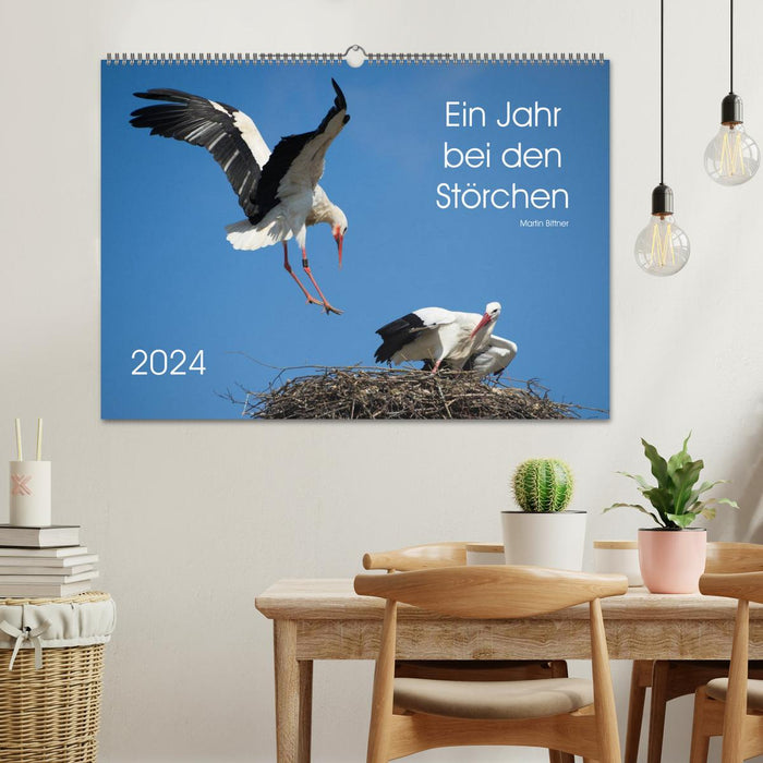 Ein Jahr bei den Störchen (CALVENDO Wandkalender 2024)