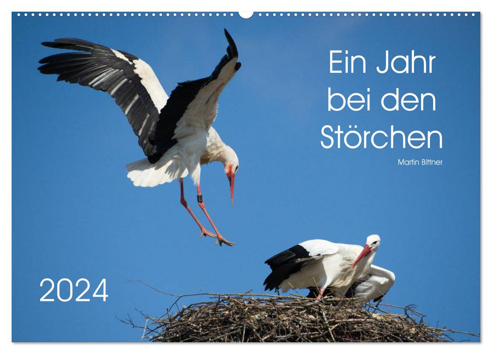 A year with the storks (CALVENDO wall calendar 2024) 