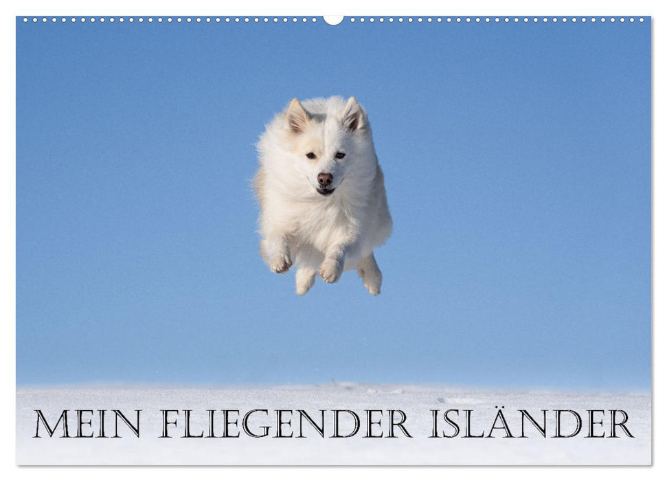 My Flying Icelandic Dog (CALVENDO Wall Calendar 2024) 