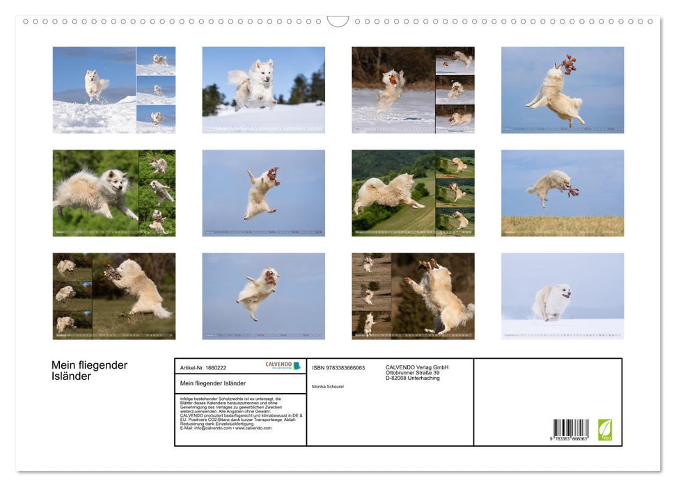 My Flying Icelandic Dog (CALVENDO Wall Calendar 2024) 