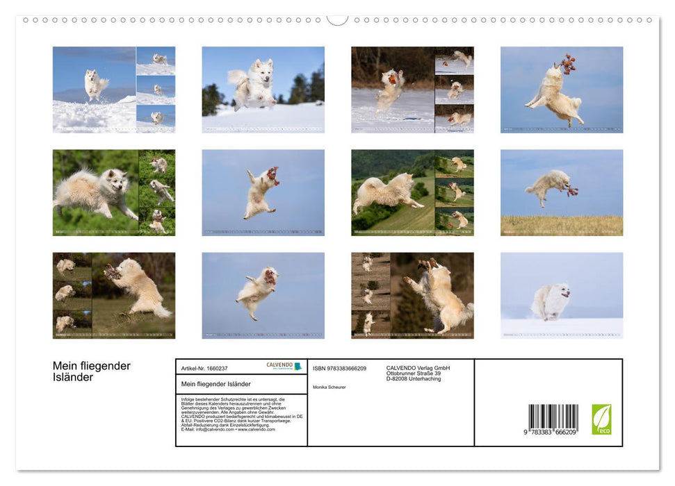 My Flying Icelandic Dog (CALVENDO Premium Wall Calendar 2024) 