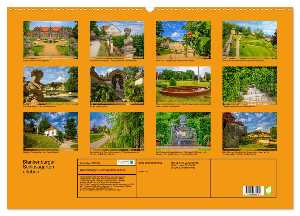 Experience Blankenburg Castle Gardens (CALVENDO Wall Calendar 2024) 