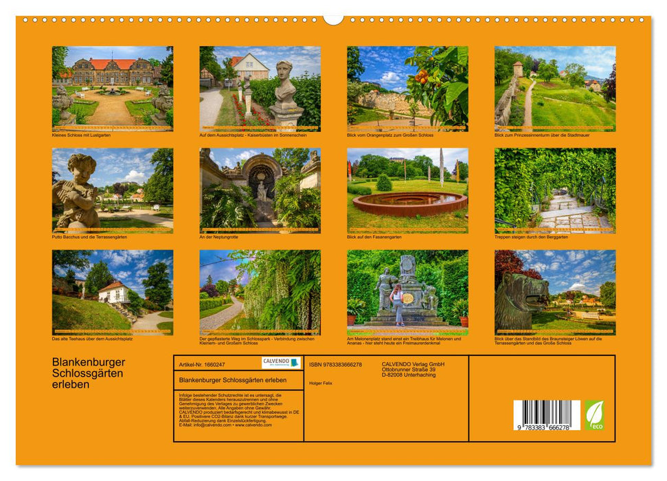 Blankenburger Schlossgärten erleben (CALVENDO Premium Wandkalender 2024)