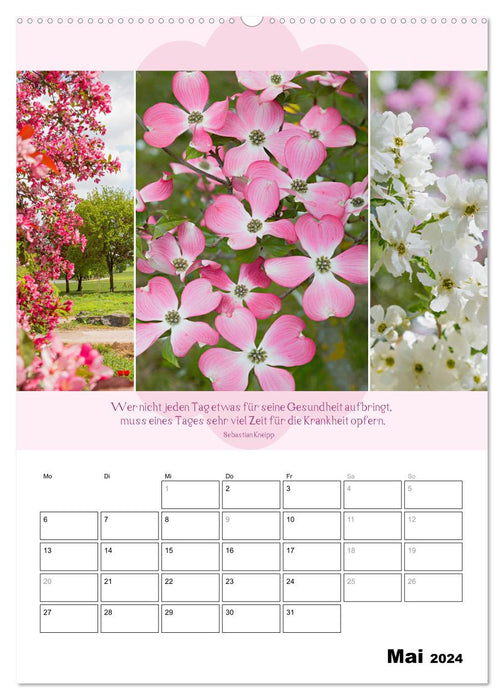 Naturpoesie und Harmonie (CALVENDO Premium Wandkalender 2024)