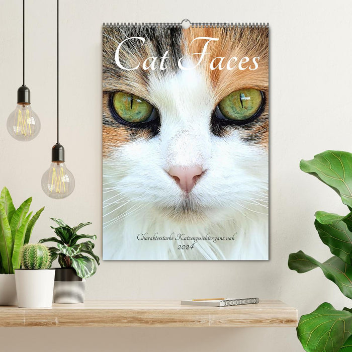 Cat Faces - Strong character cat faces up close (CALVENDO wall calendar 2024) 