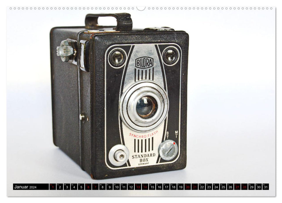 Box cameras - iconic and sometimes clunky design (CALVENDO wall calendar 2024) 