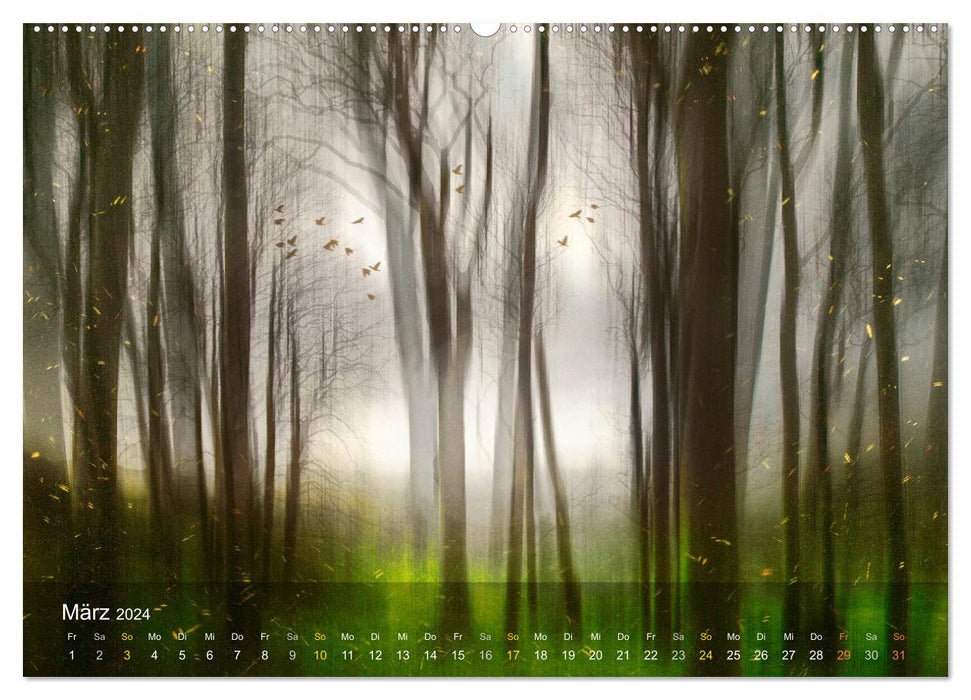 Das Schweigen der Bäume (CALVENDO Wandkalender 2024)