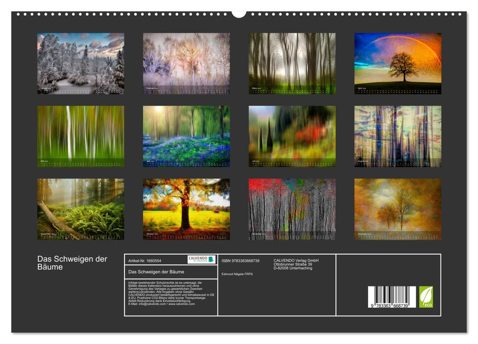 Das Schweigen der Bäume (CALVENDO Premium Wandkalender 2024)