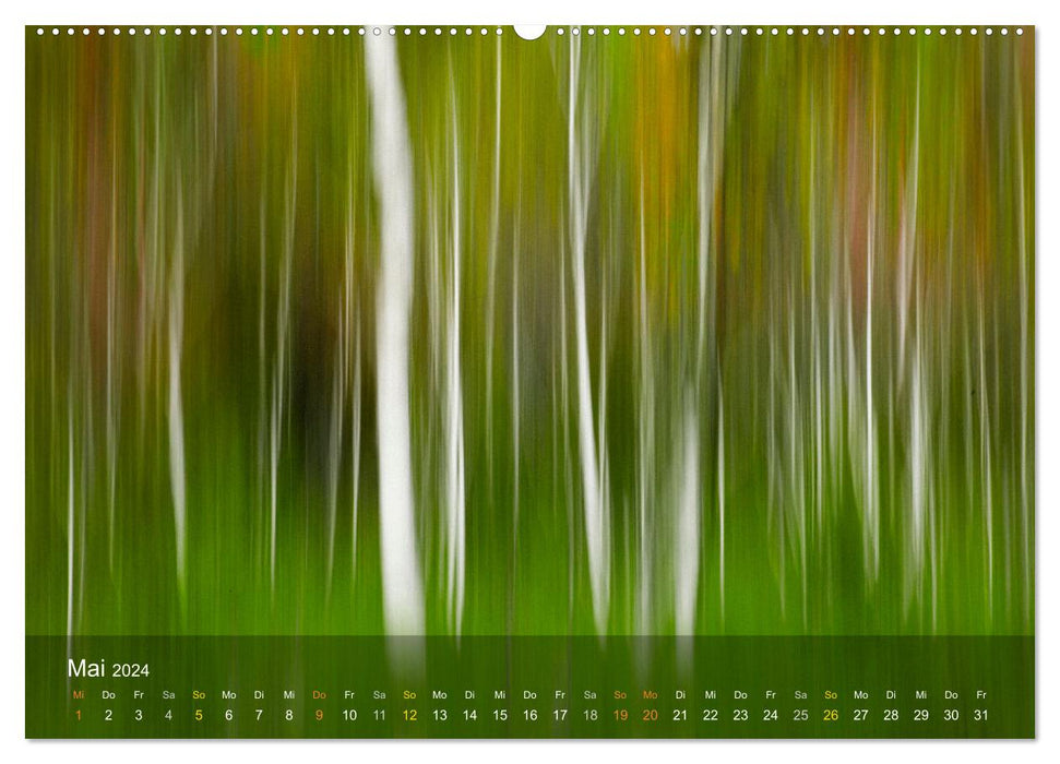 The Silence of the Trees (CALVENDO Premium Wall Calendar 2024) 