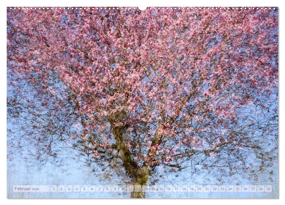Vielfalt der Bäume - variety of trees (CALVENDO Premium Wandkalender 2024)