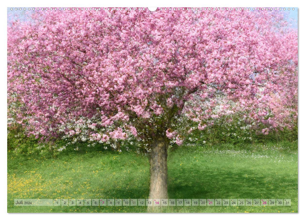 Vielfalt der Bäume - variety of trees (CALVENDO Premium Wandkalender 2024)