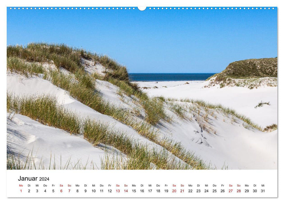 Amrum - Das Paradies in der Nordsee (CALVENDO Wandkalender 2024)