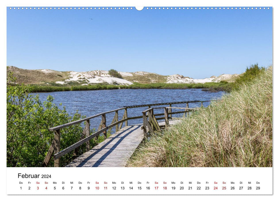 Amrum - Das Paradies in der Nordsee (CALVENDO Wandkalender 2024)