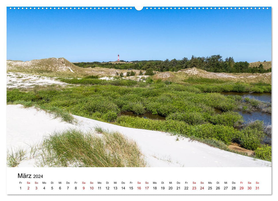 Amrum - Das Paradies in der Nordsee (CALVENDO Wandkalender 2024)