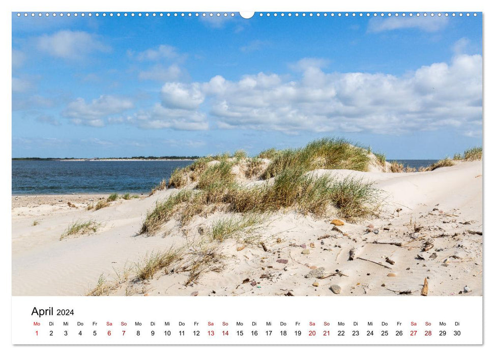 Amrum - Das Paradies in der Nordsee (CALVENDO Wandkalender 2024)