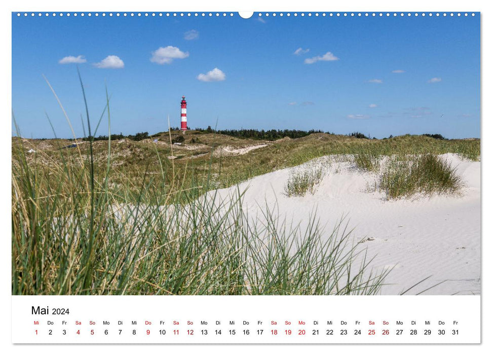 Amrum - Das Paradies in der Nordsee (CALVENDO Premium Wandkalender 2024)