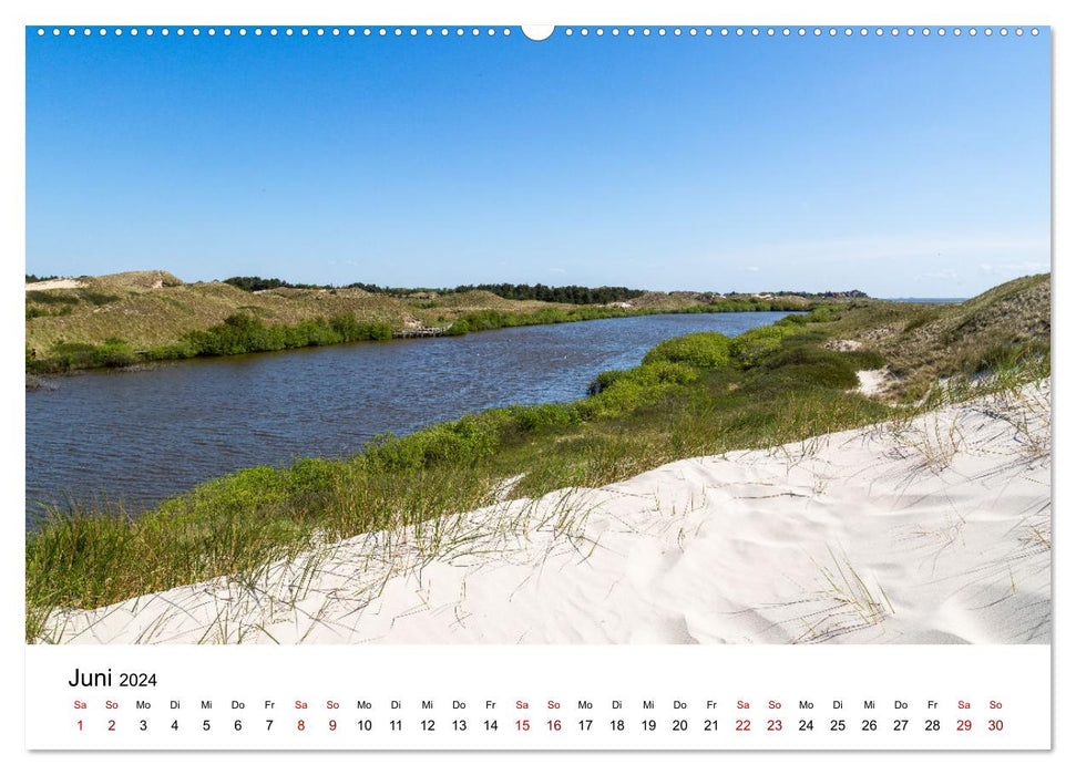 Amrum - Das Paradies in der Nordsee (CALVENDO Premium Wandkalender 2024)
