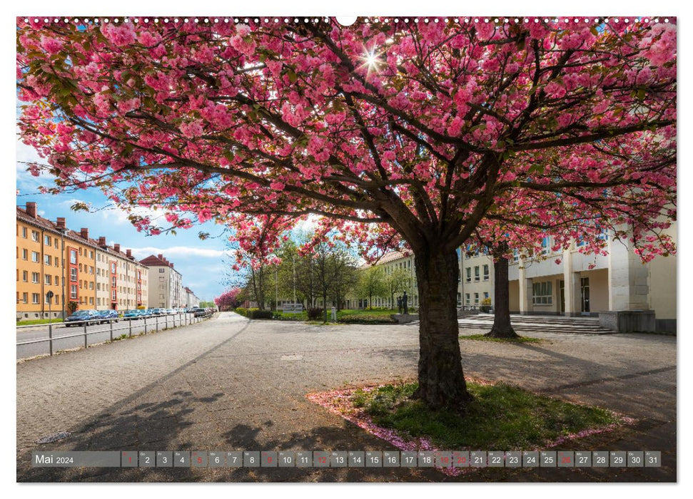 Chemnitz - city and nature (CALVENDO Premium Wall Calendar 2024) 