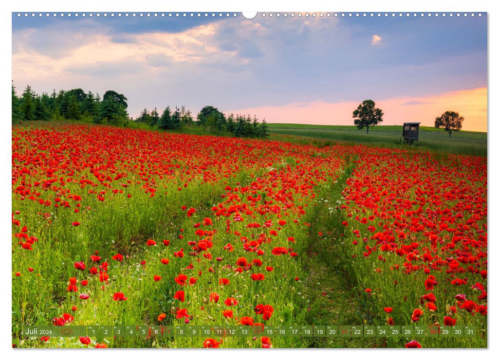 Chemnitz - city and nature (CALVENDO Premium Wall Calendar 2024) 