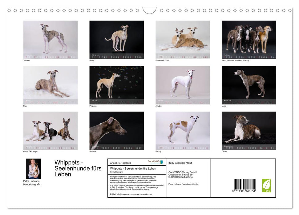 Whippets - Seelenhunde fürs Leben (CALVENDO Wandkalender 2024)