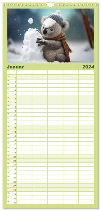 Les koalas sont en liberté ! Une année pleine de plaisir avec les ours (Agenda familial CALVENDO 2024) 
