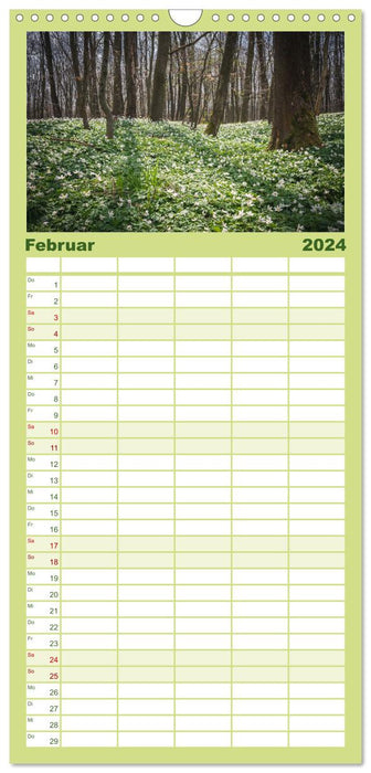Forêt magique du Harz (Agenda familial CALVENDO 2024) 