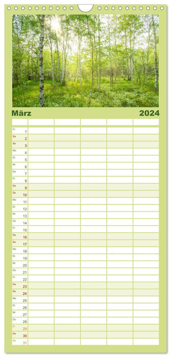 Magischer Harzwald (CALVENDO Familienplaner 2024)
