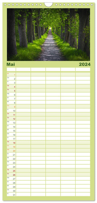 Forêt magique du Harz (Agenda familial CALVENDO 2024) 