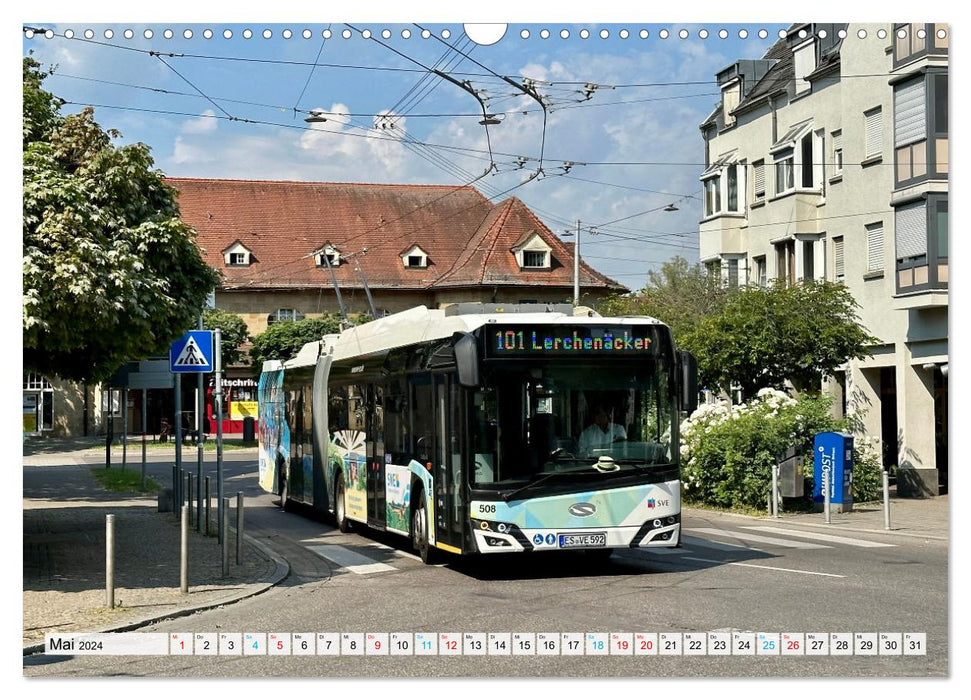 Esslingen trolleybuses (CALVENDO wall calendar 2024) 