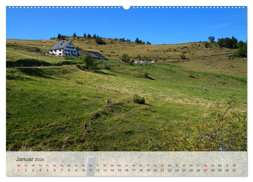 Vosges - The exceptional natural heritage in the east of France (CALVENDO wall calendar 2024) 