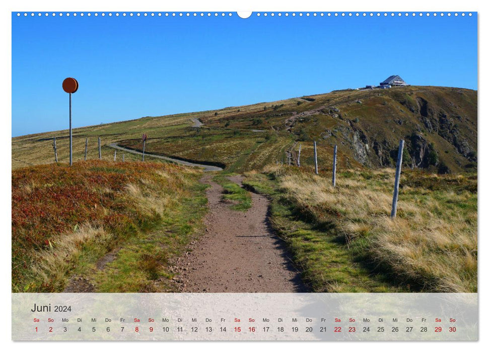 Vosges - The exceptional natural heritage in the east of France (CALVENDO wall calendar 2024) 
