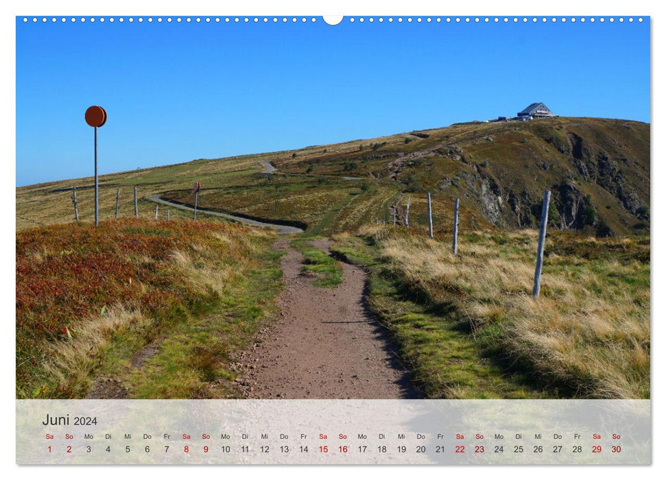 Vosges - Le patrimoine naturel exceptionnel de l'Est de la France (Calendrier mural CALVENDO 2024) 