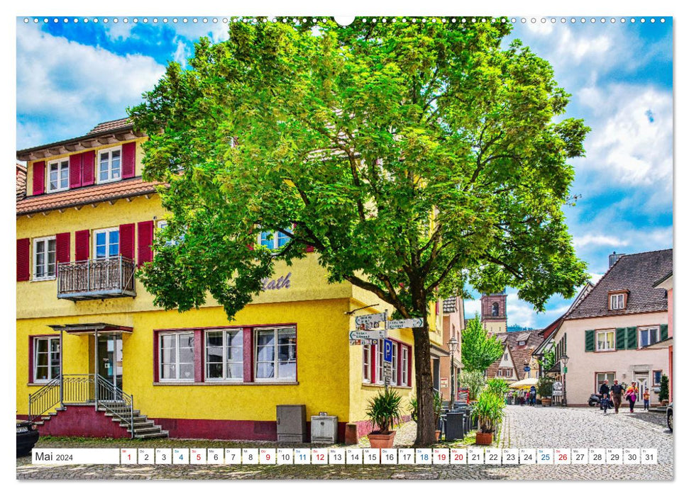 Haslach im Kinzigtal - The lively market town (CALVENDO Premium Wall Calendar 2024) 