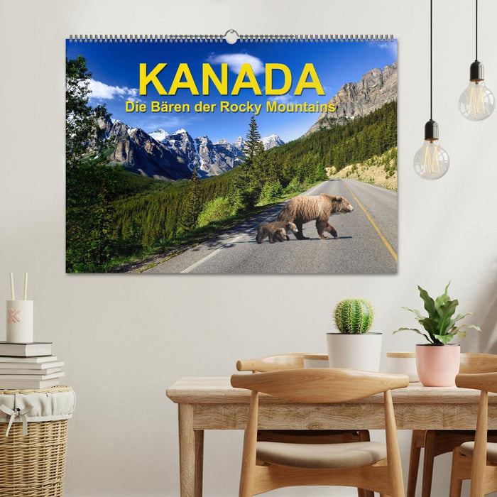 KANADA - Die Bären der Rocky Mountains (CALVENDO Wandkalender 2024)