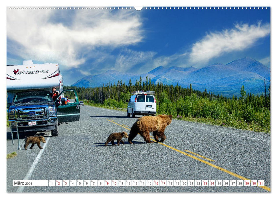 CANADA - The Bears of the Rocky Mountains (CALVENDO wall calendar 2024) 